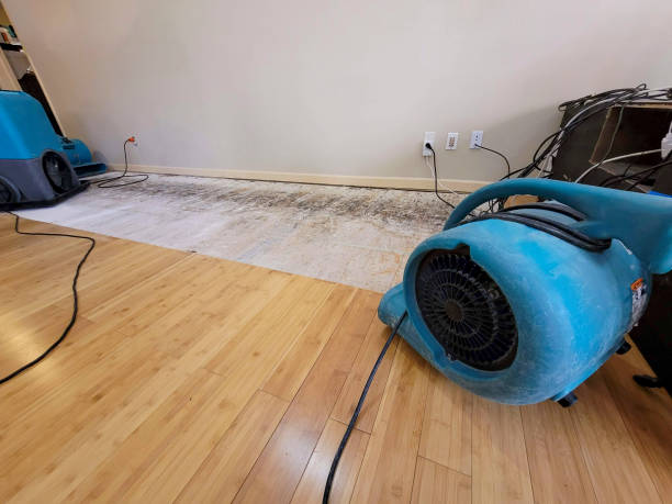 Professional Sewage Cleanup technician working in Farwell, MI